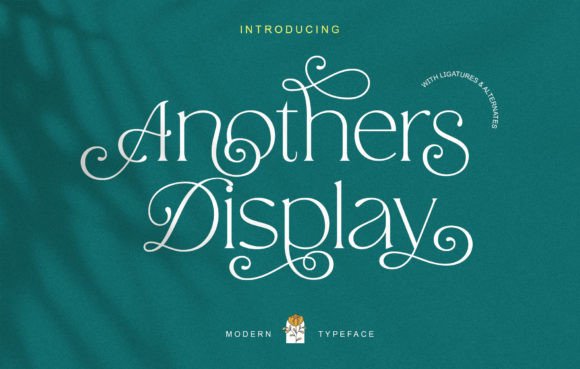 Anothers Display: A Font for Impactful Campaigns