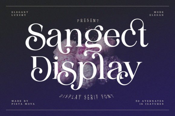 Sangect Display Font for Bold Web Design