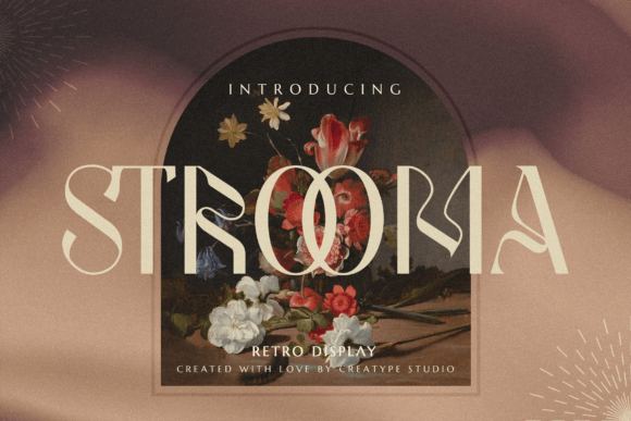 Strooma Retro Display