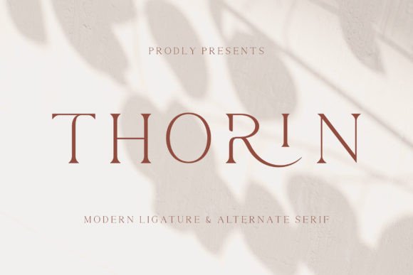 Thorin: A Premium Serif Font for Business Branding